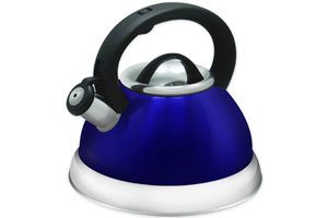 Stainless Steel Whistling Tea Kettle, Premium